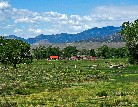 Everson Ranch, cattle - John Lorenz