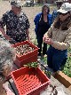 Worm Casting Workshop 2024 - Sabine Borchers